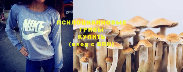 ешки Козловка