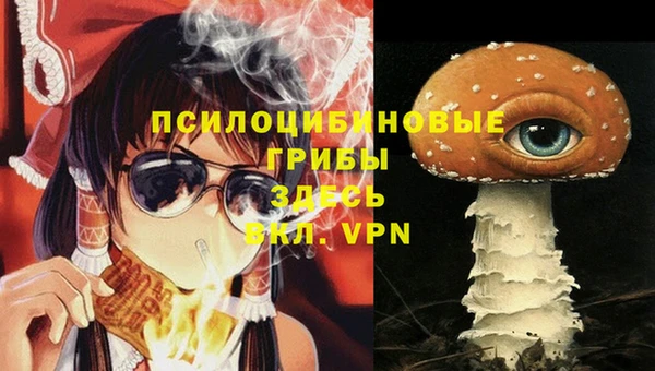 метамфетамин Козельск