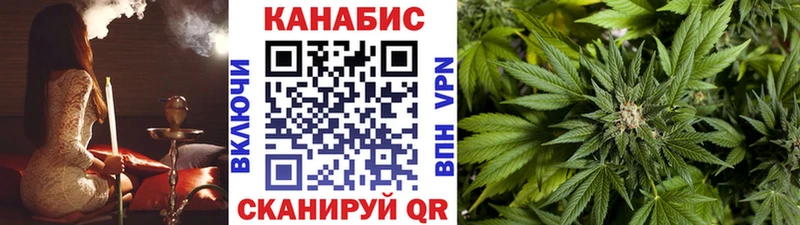 Купить где  Жиздра  Каннабис индика 